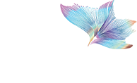 深圳市好好好文化艺术传媒有限公司